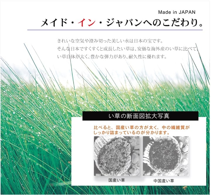 ラグ Fライト 普通版長方形 BL 191X250 191×250cm ラグマット カーペット 絨毯