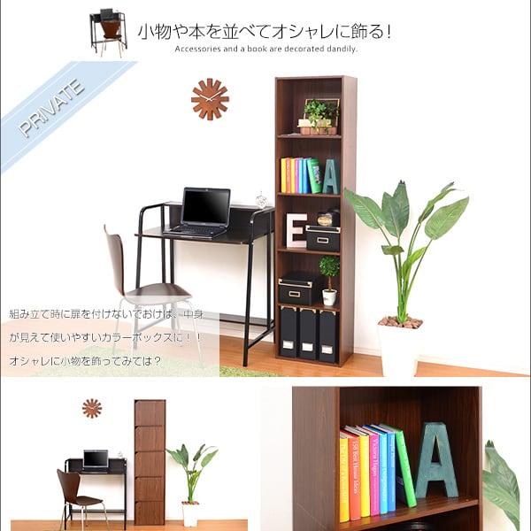ラック A4サイズ収納OK!扉付きカラーボックス カラーボックス 扉付き 5段 キャビネット 本収納