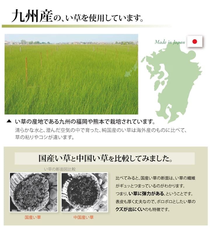 い草ラグ 湯沢 団地間8畳 340X340 340×340cm ラグマット カーペット ラグ 絨毯