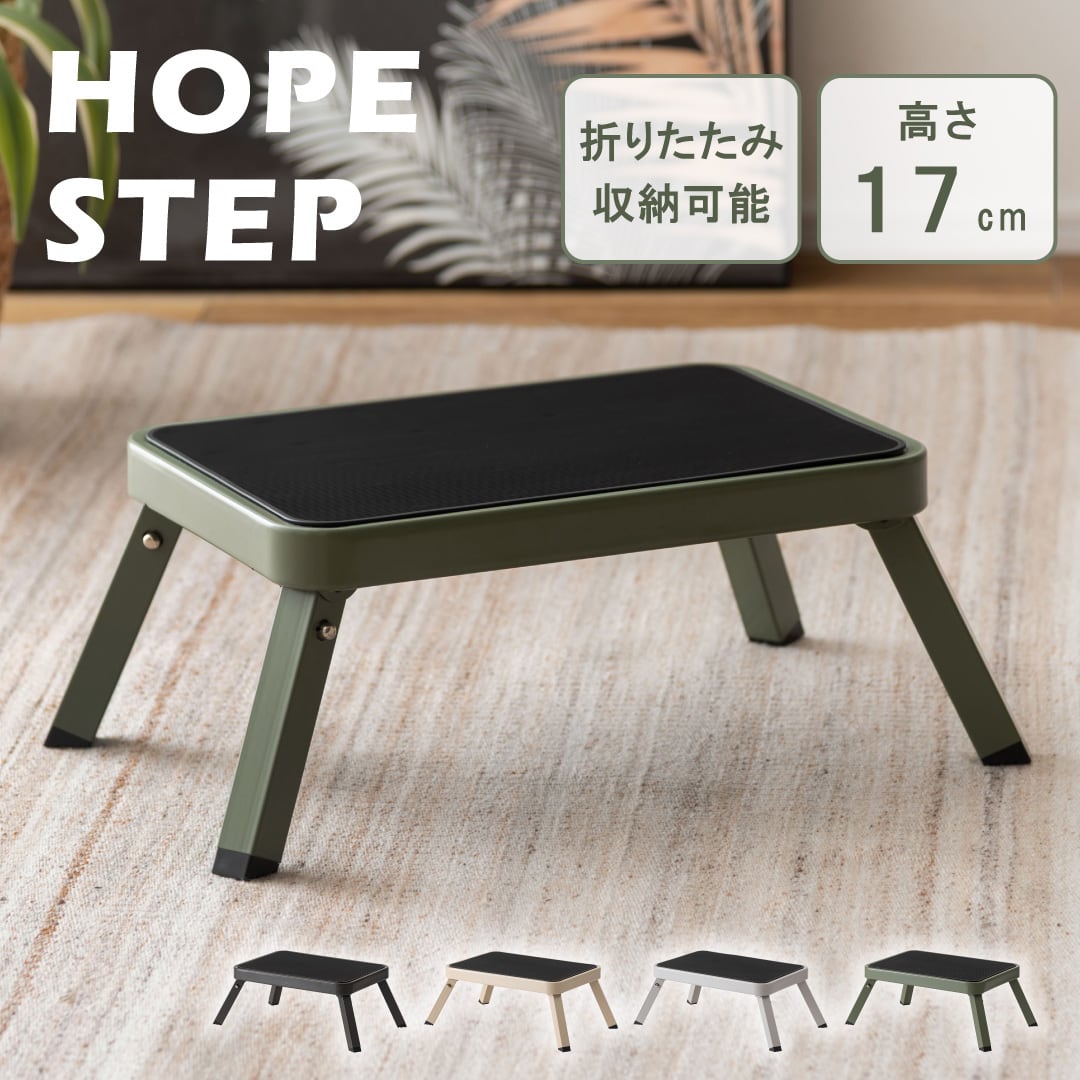 フォールディングステップ 幅48×奥行31×高さ17cm ステップ台