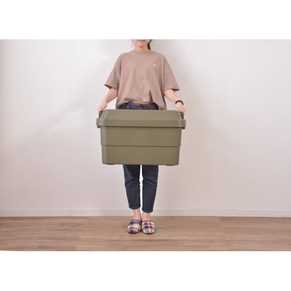 ストレージ トランクカーゴ 50L 幅60×奥行39×高さ37cm リビング収納 完成品