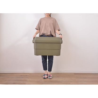 ストレージ トランクカーゴ 50L 幅60×奥行39×高さ37cm リビング収納 完成品