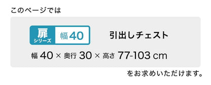 ラック セミオーダーカウンター下収納ぴったりくん 引出しチェスト 奥行30cm キッチン収納 SH 完成品