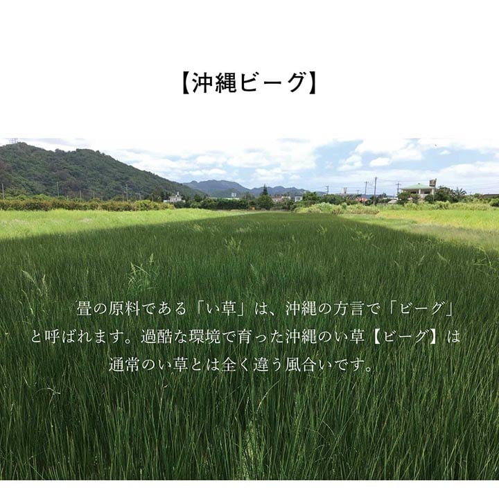 DX沖縄ビーグ ミニラグ 130X200 130×200cm ラグマット カーペット ラグ 絨毯