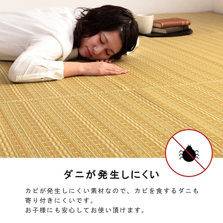 ラグ バルカン 江戸間10畳 BE 352X435 435×352cm ラグマット カーペット 絨毯
