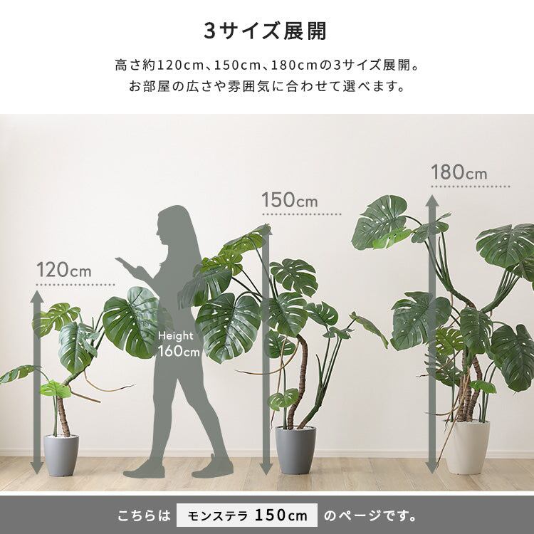 お手入れ簡単フェイクグリーン モンステラ Mサイズ(150cm)