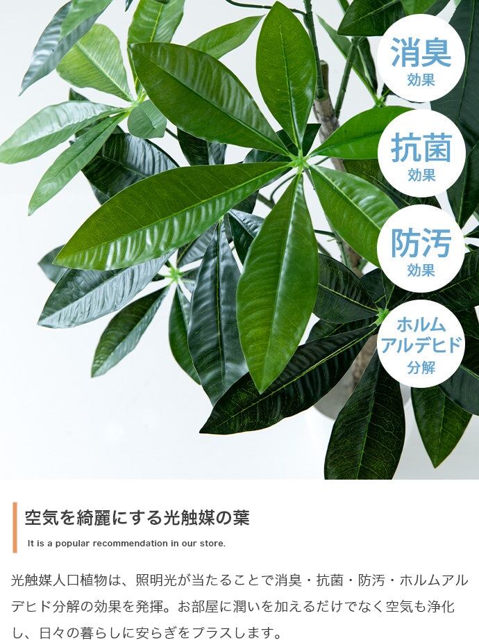 フェイクグリーン・オブジェ 高さ90cm Nature 光触媒人工観葉植物 パキラ