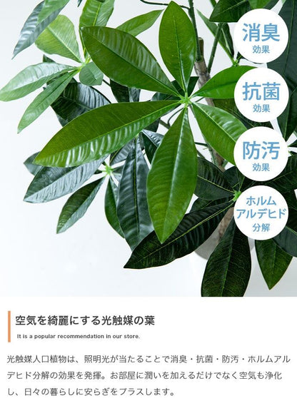 フェイクグリーン・オブジェ 高さ90cm Nature 光触媒人工観葉植物 パキラ
