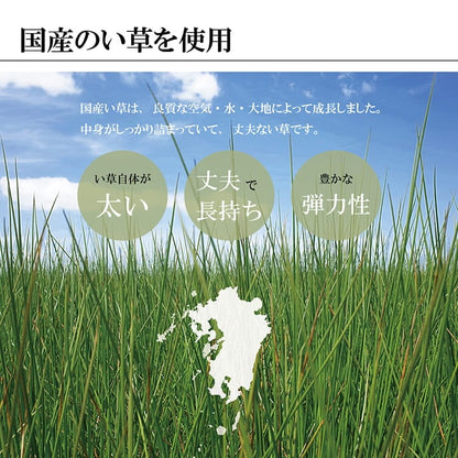 花ござ 鍋島 江戸間3畳 BK 174X261 174×261cm ラグマット カーペット ラグ