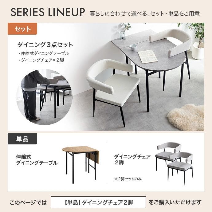 ダイニングセット 2脚セット ダイニングチェア ダイニング家具 スチール