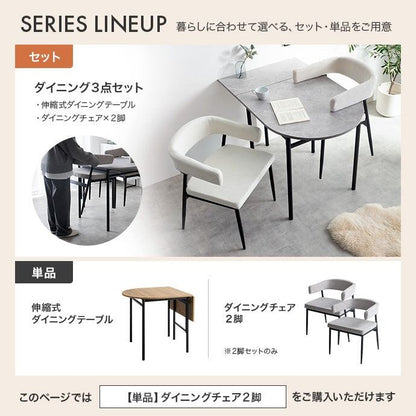 ダイニングセット 2脚セット ダイニングチェア ダイニング家具 スチール