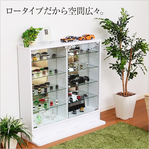 コレクションラック 浅型ロータイプ コレクションケース 壁面収納 フィギュアケース フィギュアラック