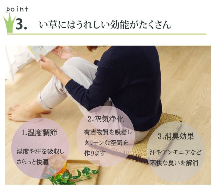 クッション コート シート 2P BR 40X40 40×40cm 日用品 クッション・座布団 二酸