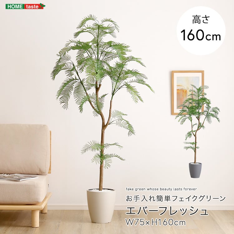 お手入れ簡単フェイクグリーン エバーフレッシュ Mサイズ(160cm) フェイクグリーン 観葉植物