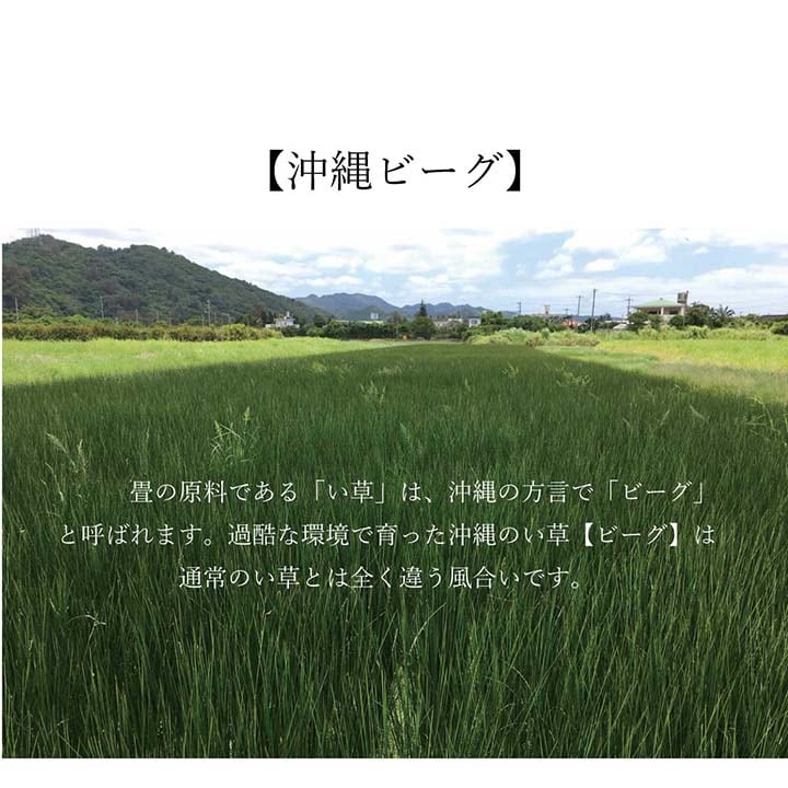 ラグ DX沖縄ビーグ 普通版長方形 191X250 191×250cm ラグマット カーペット 絨毯