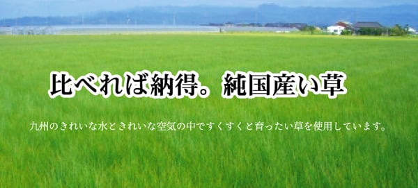 花ござ アシック 江戸間3畳 GN 174X261 174×261cm ラグマット カーペット ラグ