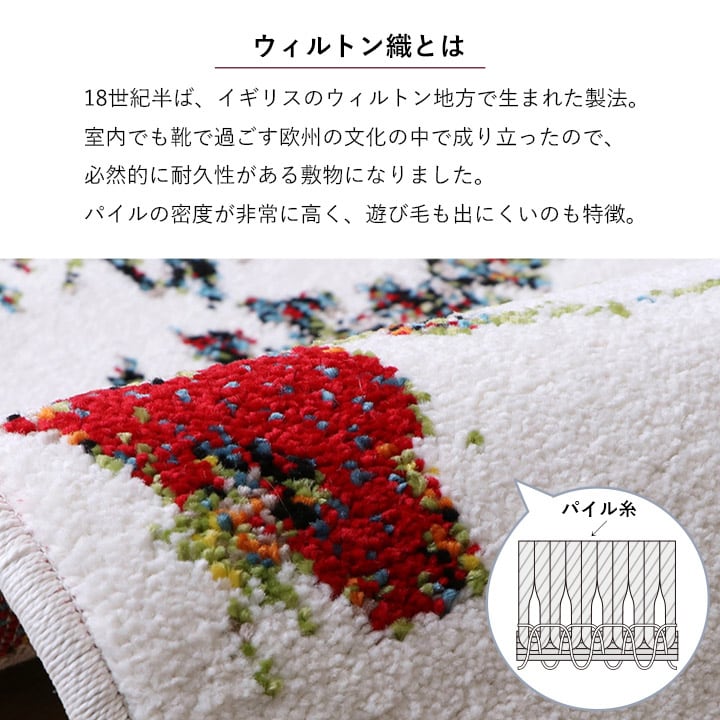 玄関マット ボタニカルIV楕円 IV 60X90 60×90cm楕円 ラグマット カーペット ラグ