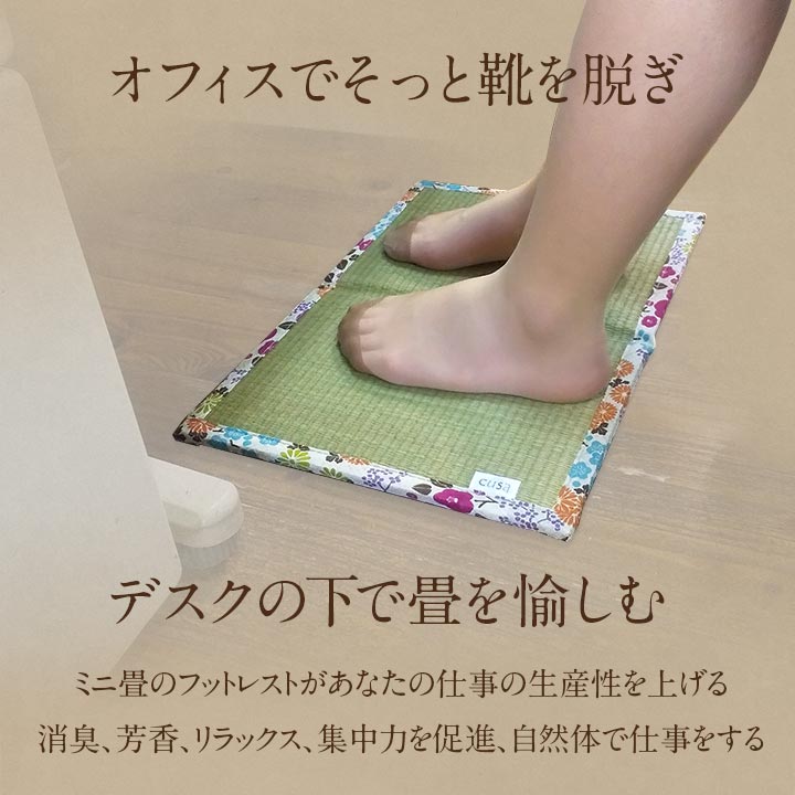 マット 足さらっとTATAMI 30X42 30×42cm ラグマット カーペット ラグ 絨毯