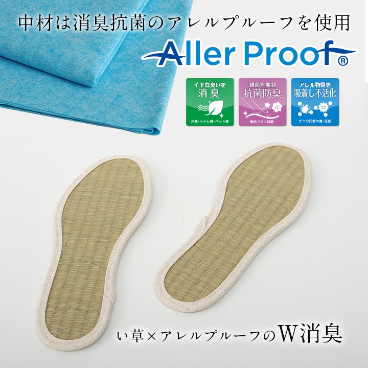 足さらインソール 22cm 製品X22 日用品 消臭 インソール 生活雑貨 さっと入れるだけ!