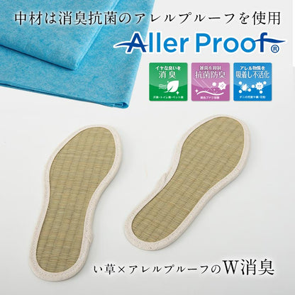 足さらインソール 22cm 製品X22 日用品 消臭 インソール 生活雑貨 さっと入れるだけ!