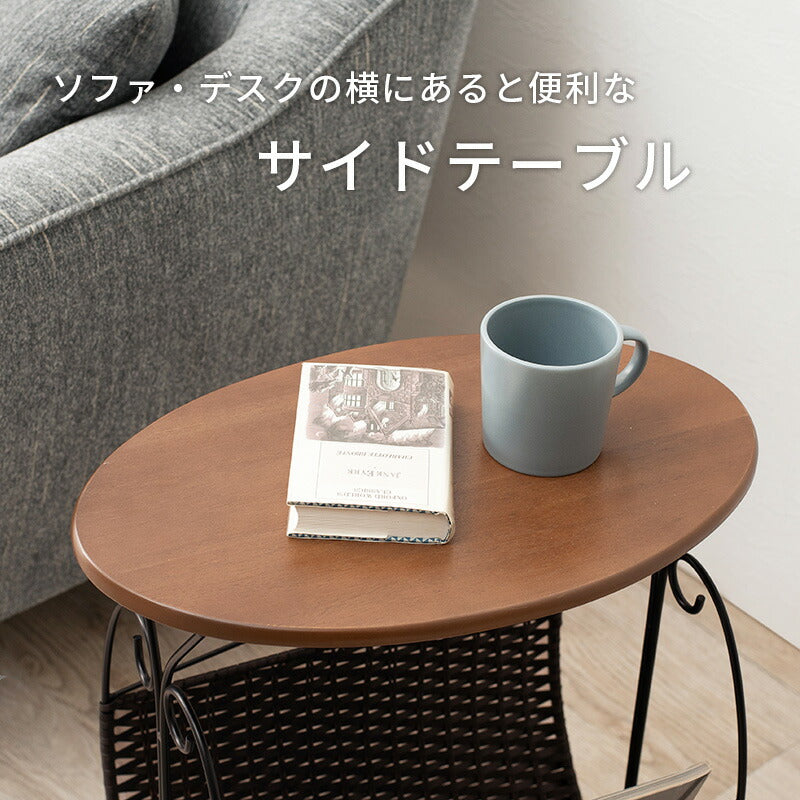 ラック マガジンラック-RAM 46.5×29.5×53cm リビング収納 完成品 組立不要 全2色