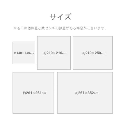 ラグ DXセルテ BL140×140 140×140cm ラグマット カーペット 絨毯