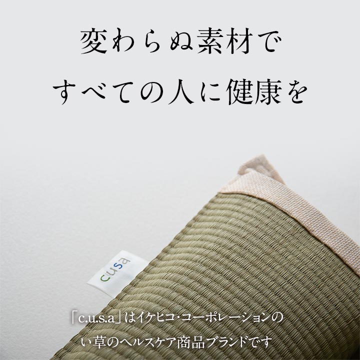 背中さらっとクッション50角 50X50 50×50cm 日用品 ハイバック 消臭 クッション