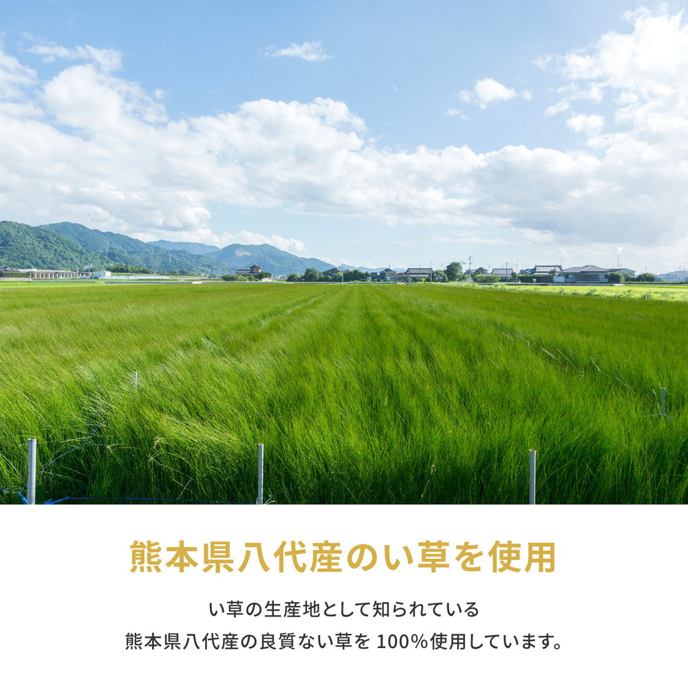ラグ カーペット 江戸間 国産い草カーペット 琥珀 1帖 87×174 ラグマット 絨毯 消臭