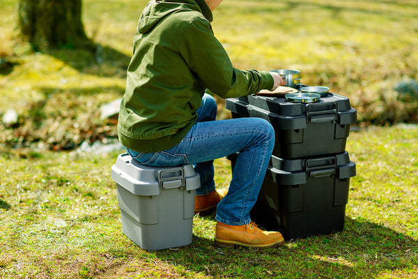 ストレージ トランクカーゴS蓋 30L LOW TYPE 幅60×奥行39×高さ24cm キング