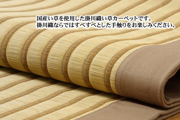 ラグ 剣ヶ峰 長方形 200×250cm ラグマット カーペット 絨毯 ■ 本品は