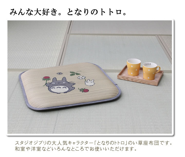 木いちごトトロ 座布団 2P 55X55 55×55cm 日用品 日本製 布団 クッション・座布団