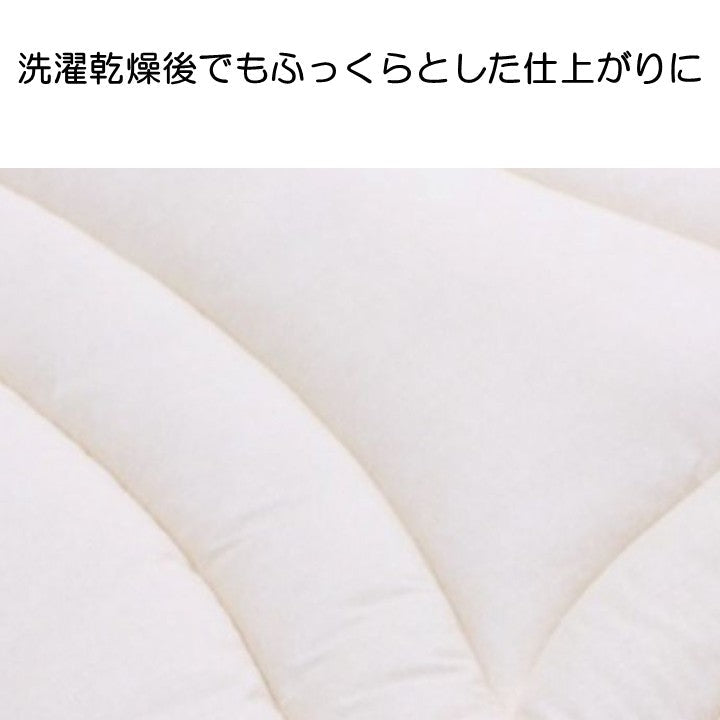 掛布団 イリスアラエル BE150X210 150×210×7cm 日用品 寝具