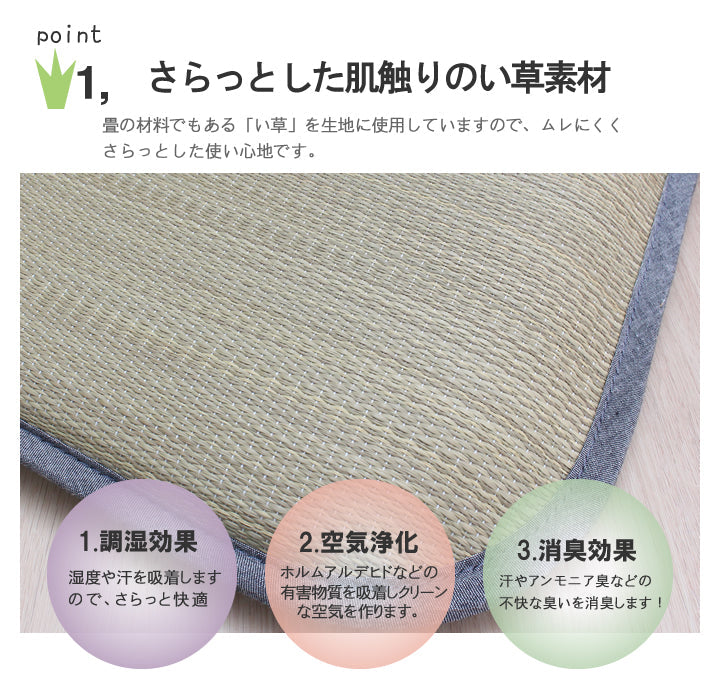木いちごトトロ 座布団 2P 55X55 55×55cm 日用品 日本製 布団 クッション・座布団