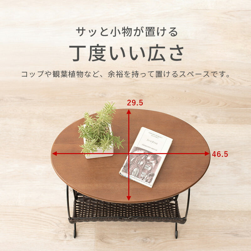 ラック マガジンラック-RAM 46.5×29.5×53cm リビング収納 完成品 組立不要 全2色