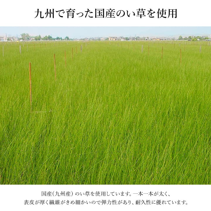 上がり框 Fなでしこ BE 35X90 35×90cm ラグマット カーペット ラグ 絨毯 ベージュ