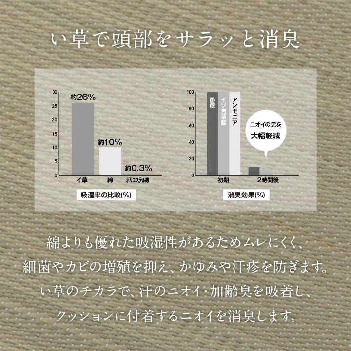 頭さらっとインナー枕パッド2枚 25X35 25×35cm 日用品 抗菌 消臭 枕 寝具