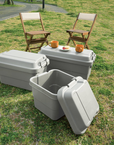 ストレージ トランクカーゴ 30L 幅40×奥行39×高さ37cm リビング収納 完成品 組立不要