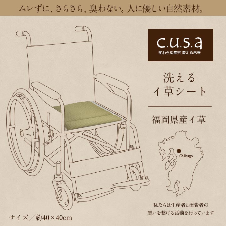 クッション 洗えるい草シート 40×40cm 40X40 日用品 洗える 通気性 クッション・座布団