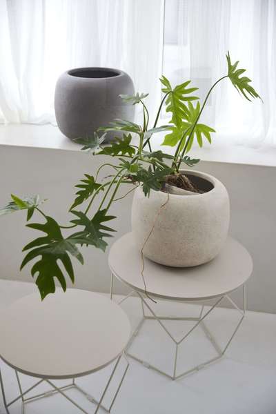 グリーンベース 幅33.5×奥行33.5×高さ26.5cm 日用品 完成品 組立不要 グレー 植木鉢