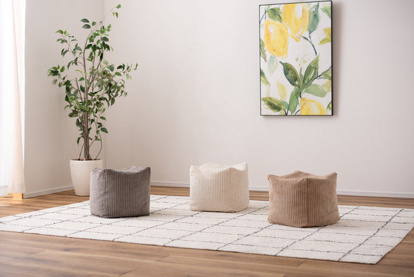 ファブリック ミニビーズクッション 幅30×奥行30×高さ30cm 日用品 ダブル 完成品 組立不要