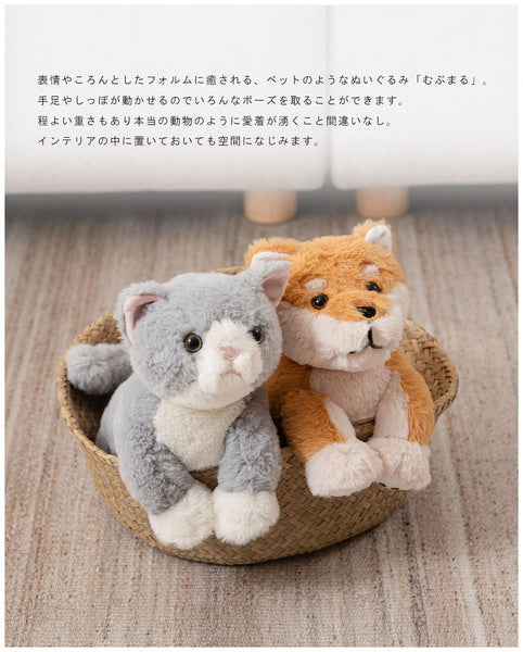 癒されアニマルmovemal(むぶまる) 幅12.5×奥行27×高さ30cm 日用品 完成品 動く