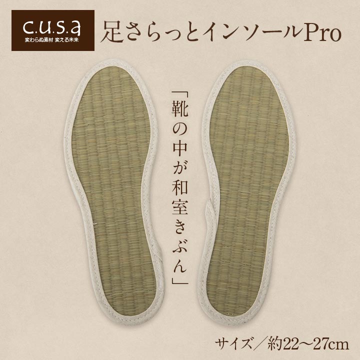 足さらインソール 22cm 製品X22 日用品 消臭 インソール 生活雑貨 さっと入れるだけ!