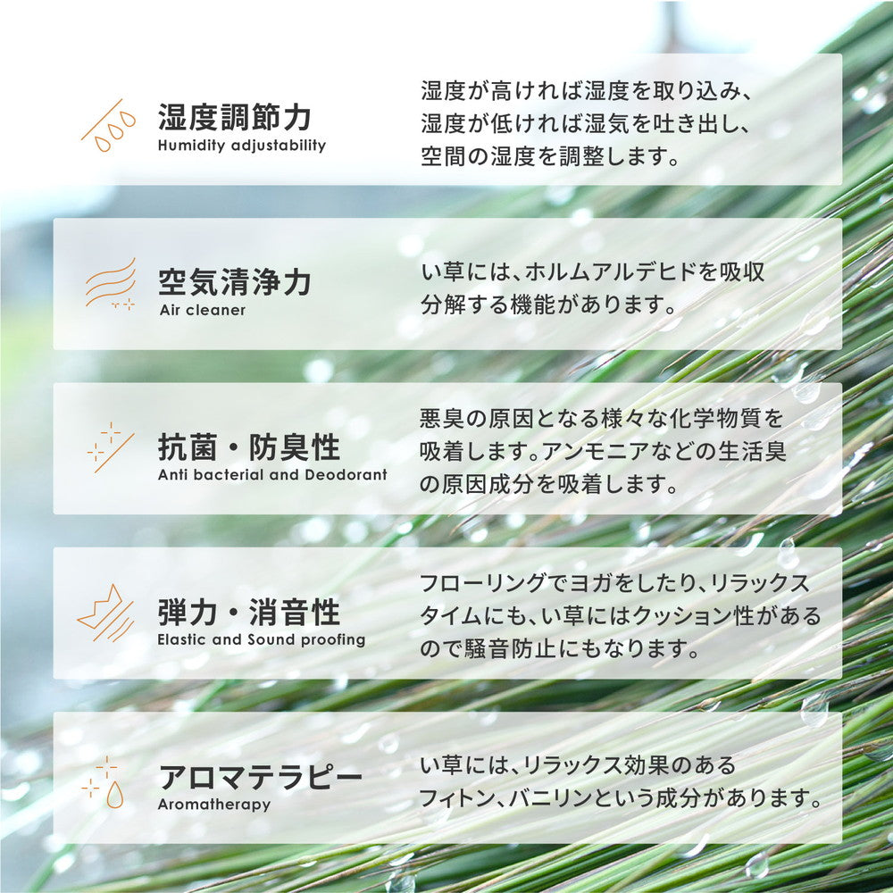 ラグ い草ラグ フェアリー 191×191cm ラグマット カーペット 絨毯 抗菌 消臭