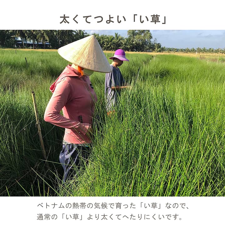 スツール みらい 手編み円座小 無 40 43cm丸 チェア ダイニングチェア デザインチェア