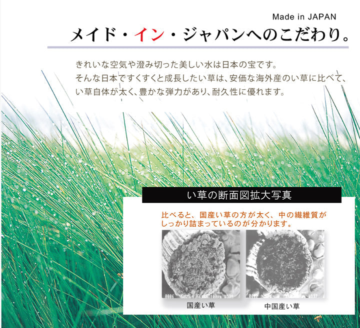 木いちごトトロ 座布団 2P 55X55 55×55cm 日用品 日本製 布団 クッション・座布団