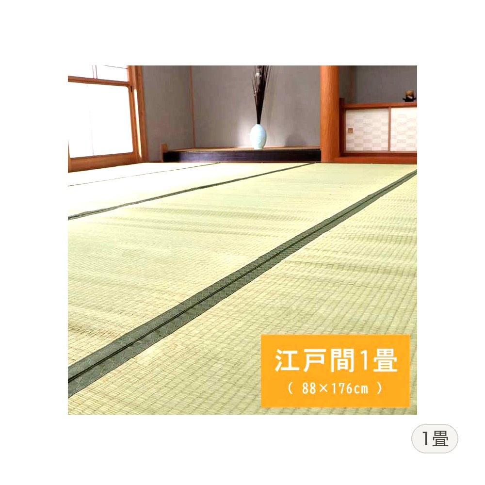 い草ラグ 草津 江戸間1畳 88×176cm ラグマット カーペット ラグ 絨毯 1畳