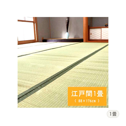 い草ラグ 草津 江戸間1畳 88×176cm ラグマット カーペット ラグ 絨毯 1畳