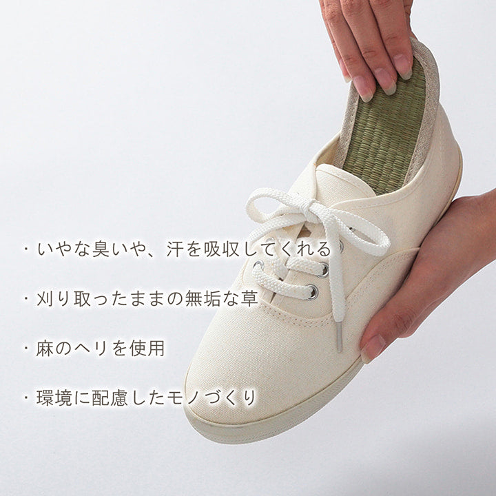 みらい インソール 23 23cm 日用品 生活雑貨 ■健康志向や地球環境保全の観点から