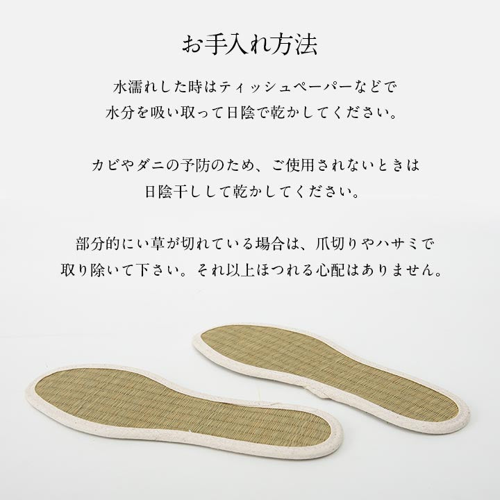 足さらインソール 22cm 製品X22 日用品 消臭 インソール 生活雑貨 さっと入れるだけ!