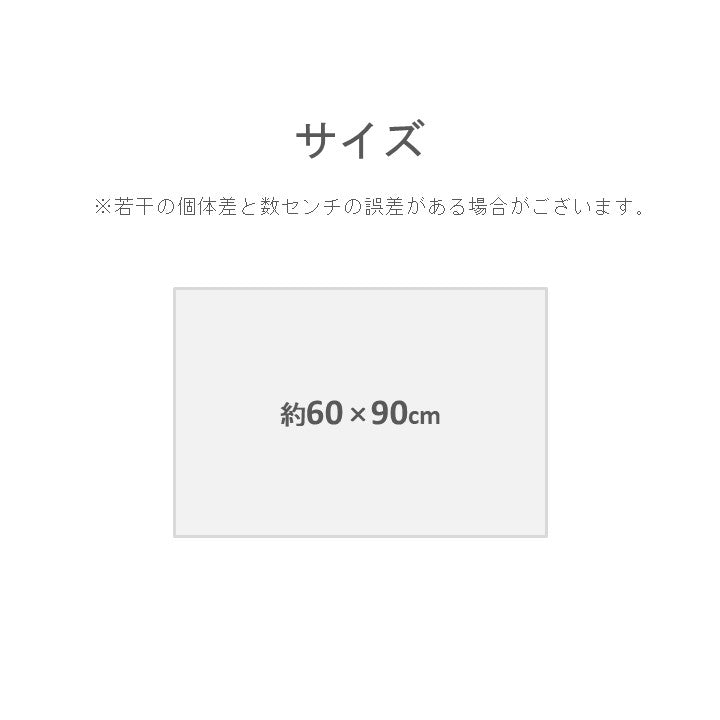 玄関マット Fバッキンガム 60×90cm ラグマット カーペット ラグ 絨毯 マット